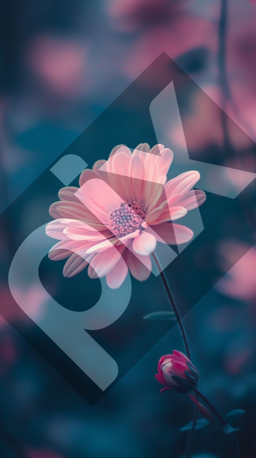 Pink Perfection Wallpaper