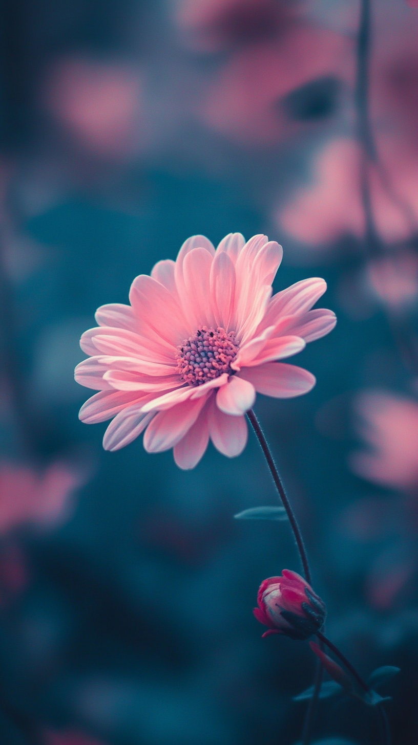 Pink Perfection Wallpaper