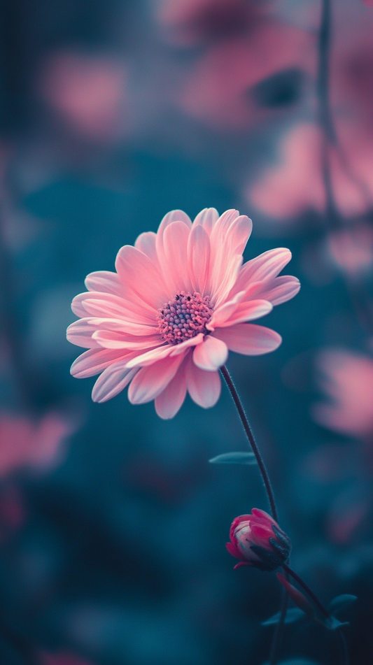 Pink Perfection Wallpaper