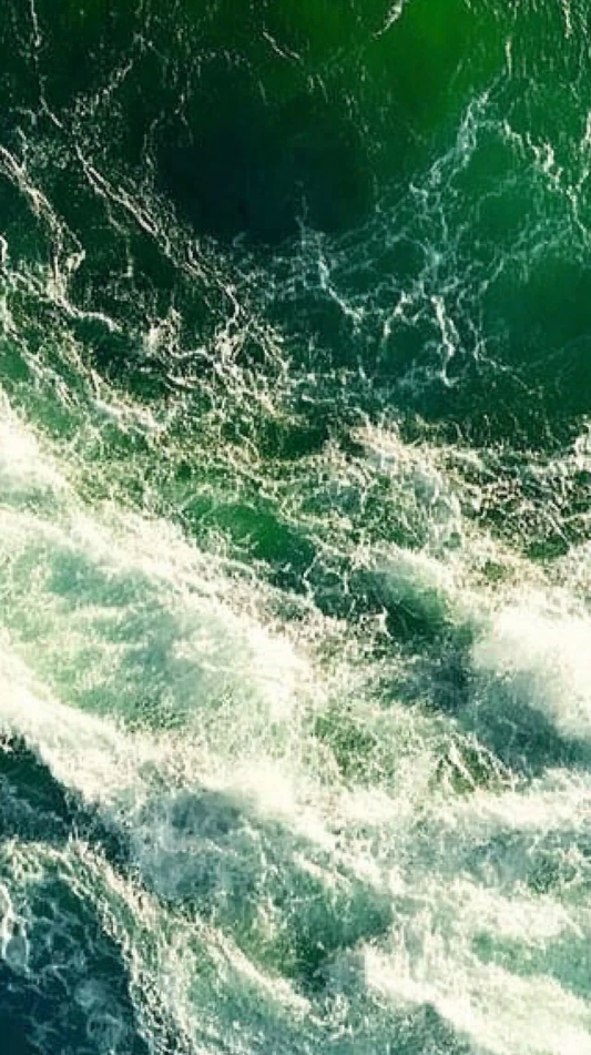 Green Abyss Wallpaper